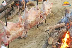 271186978_6716703441734685_668202686537846509_n